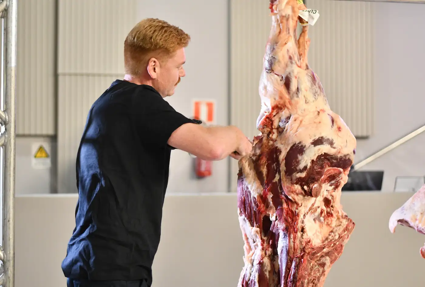 Demonstração prática realizada no Meat Camp